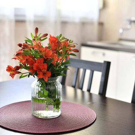 Apartament Cozy 16A Zadar Zewnętrze zdjęcie