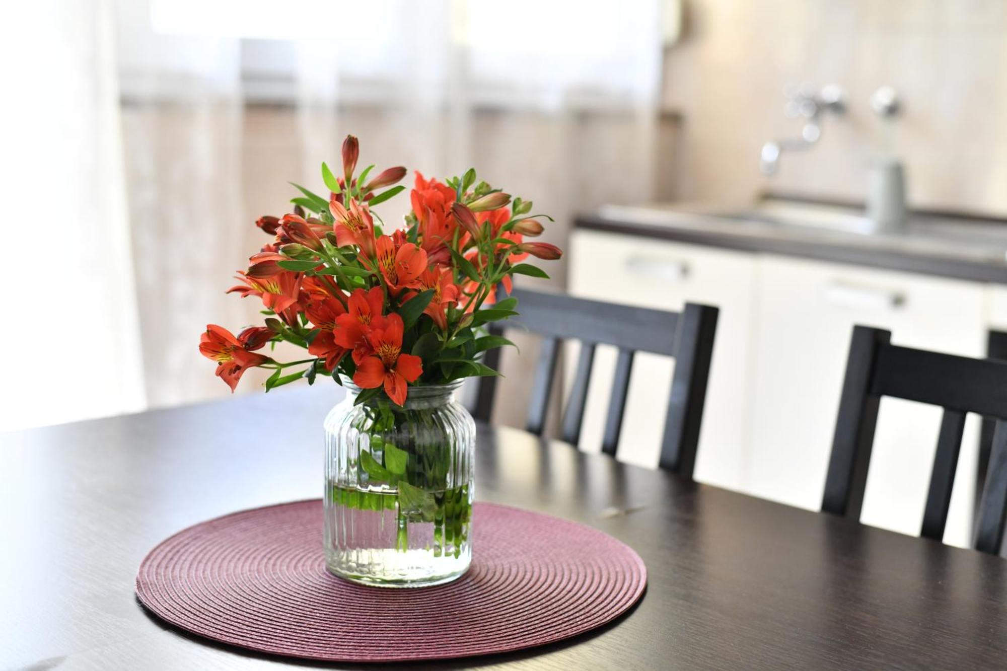 Apartament Cozy 16A Zadar Zewnętrze zdjęcie